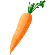 basic carrot