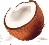 basic coconut